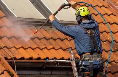 Démoussage et hydrofuge de toiture à Beaumesnil